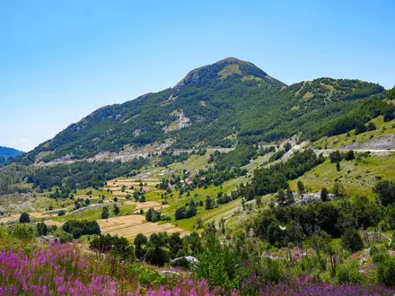 Primorska Planinarska Transverzala (PPT)