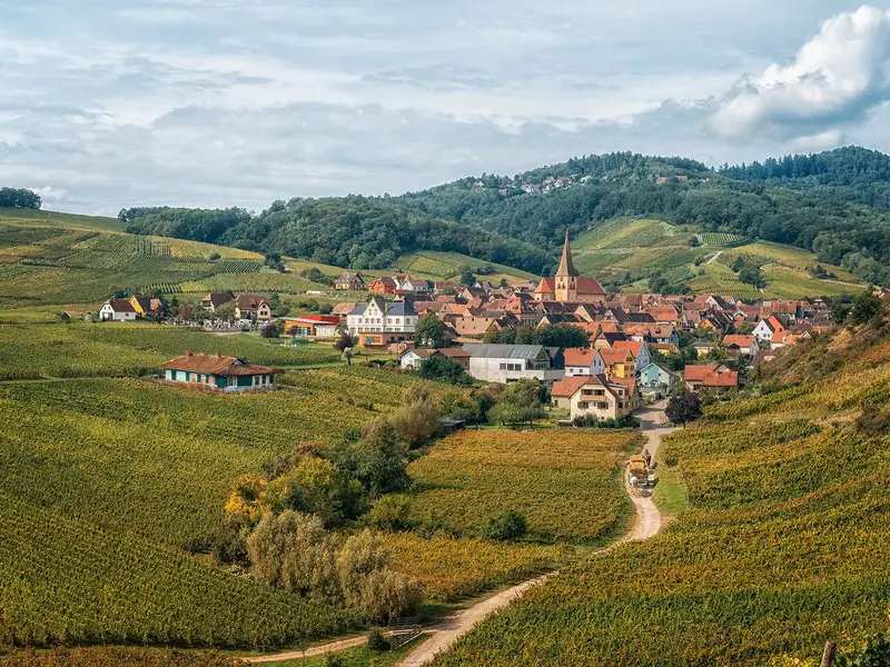 Alsace Vineyard Trail