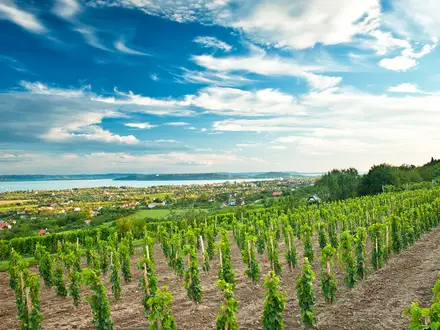 Balaton Uplands Trail