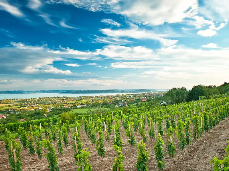 Balaton Uplands Trail