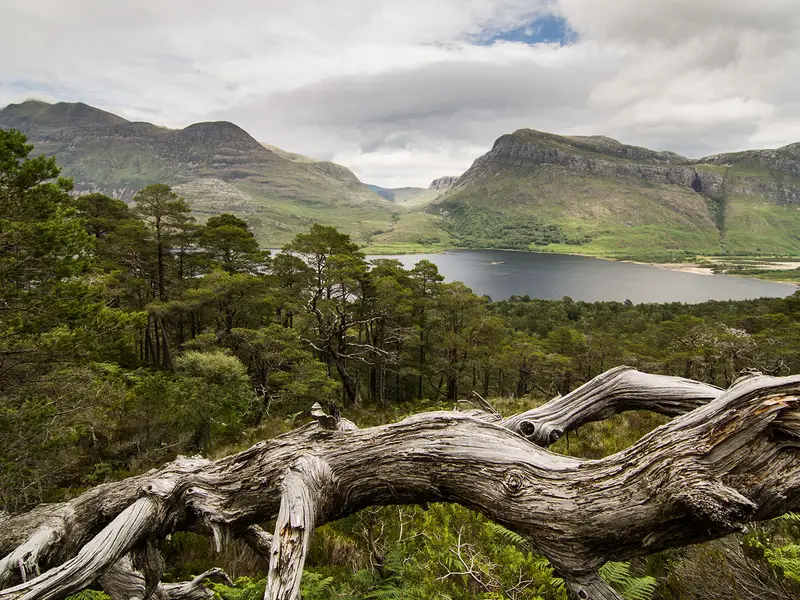 Beinn Eighe Mountain Trail