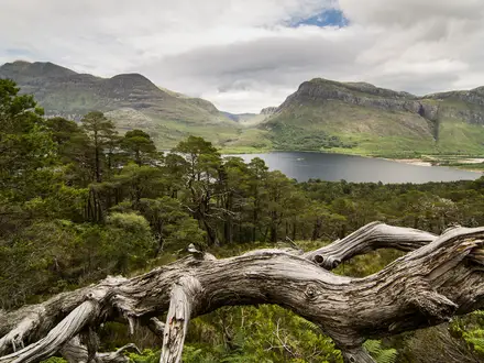 Beinn Eighe Mountain Trail