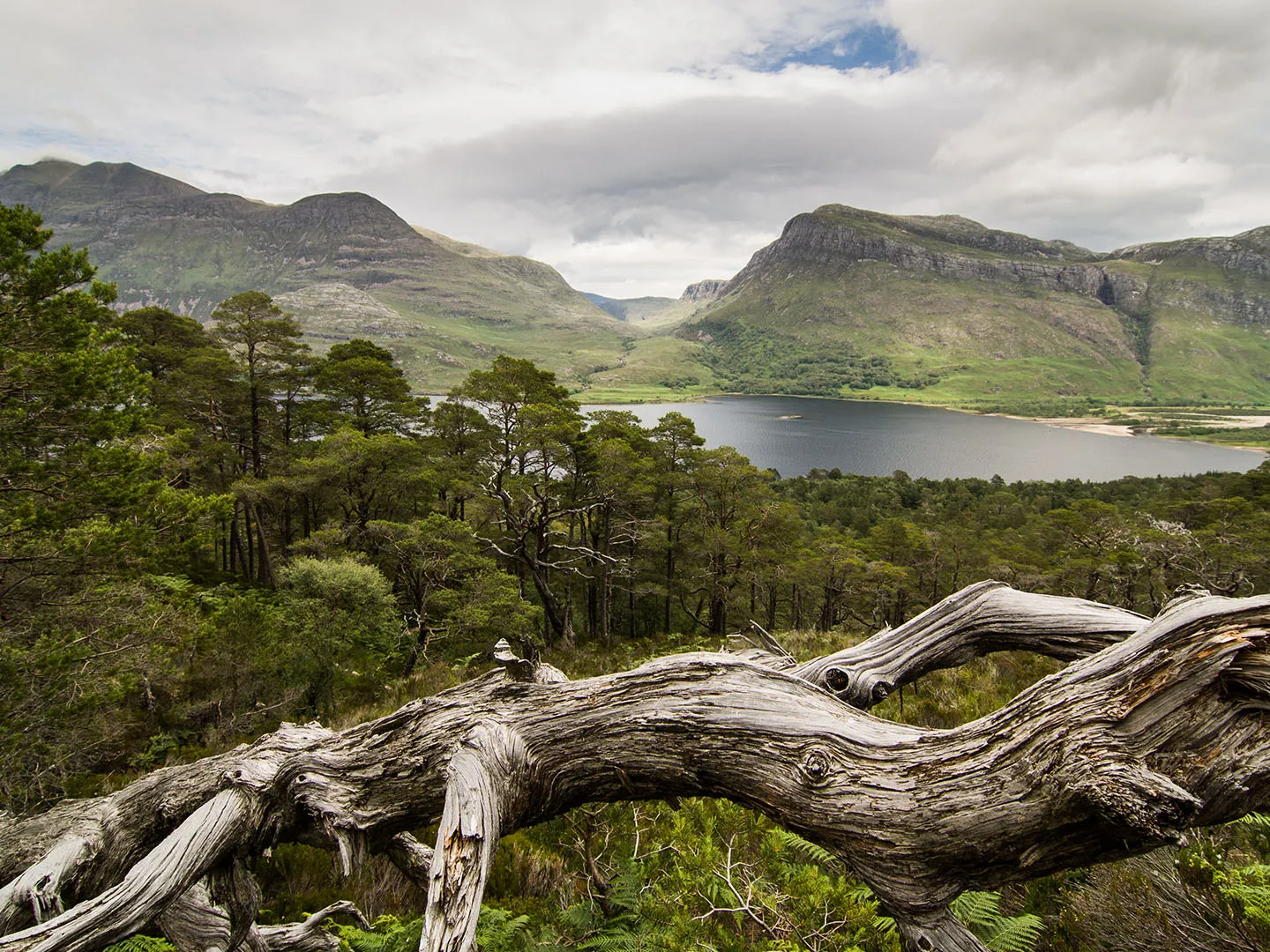 Beinn Eighe Mountain Trail