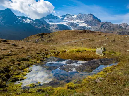 Bernina Trek
