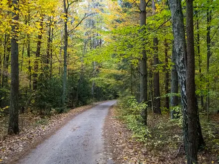 Białowieża Forest Trails