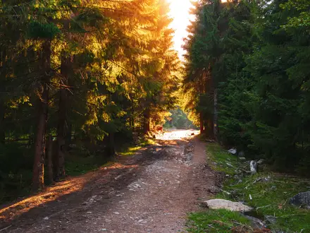 Bihor Peak Summit Trail