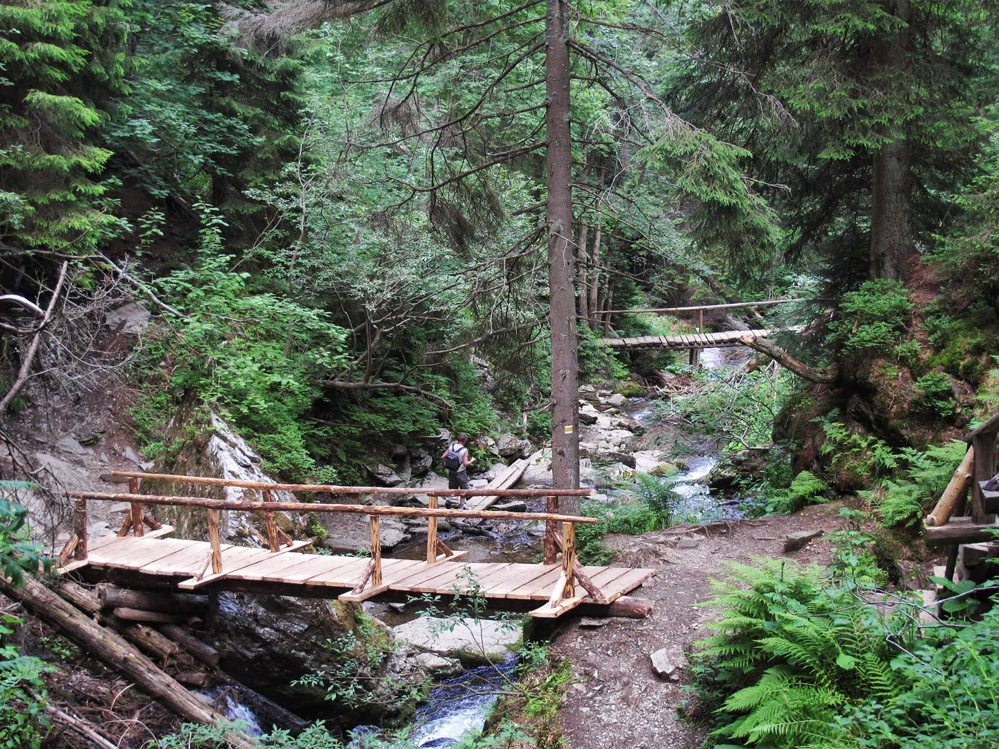 Bílá Opava Valley Path