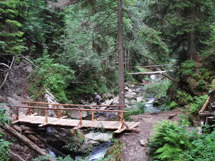Bílá Opava Valley Path