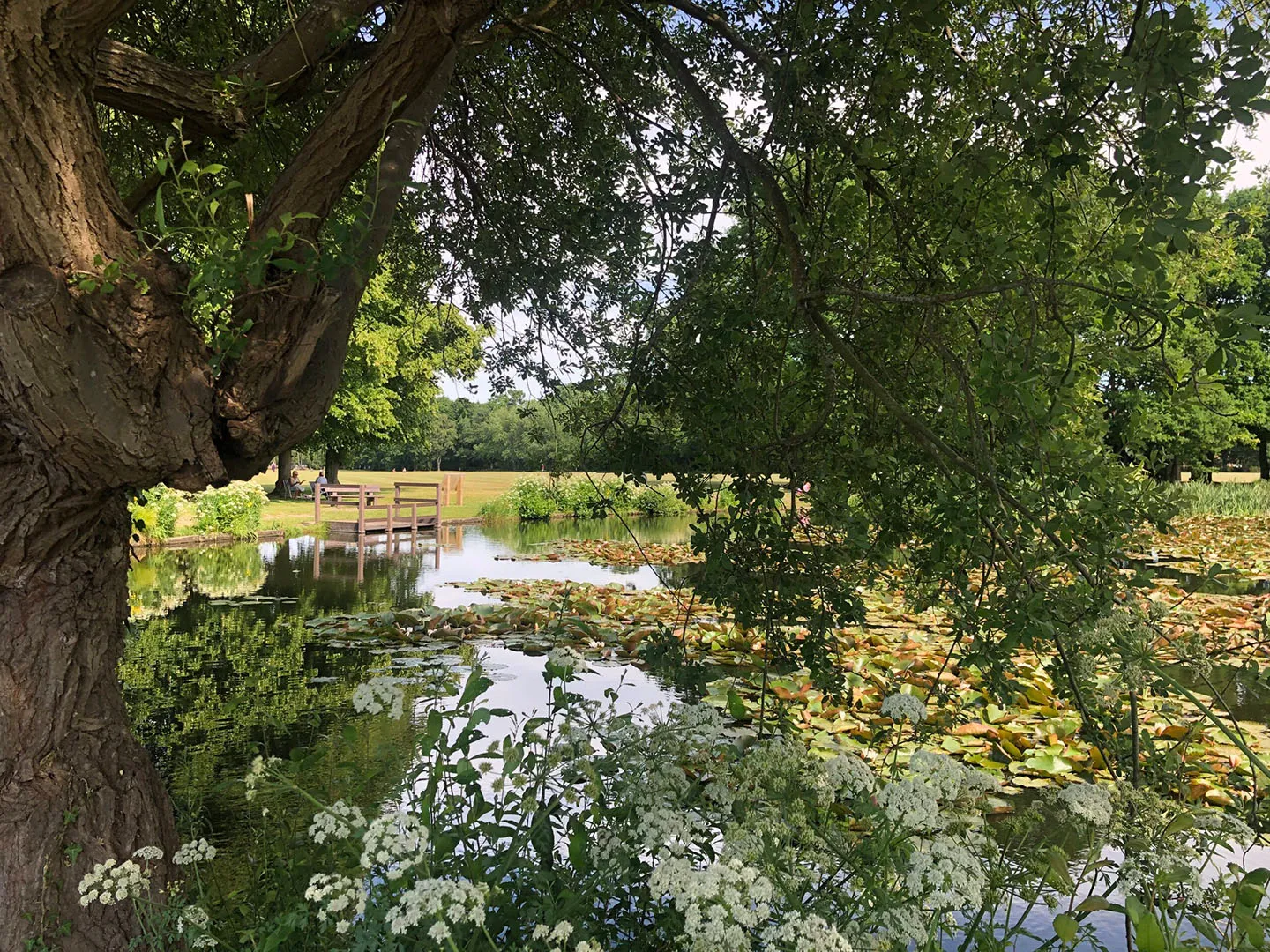 Blackwater Valley Path