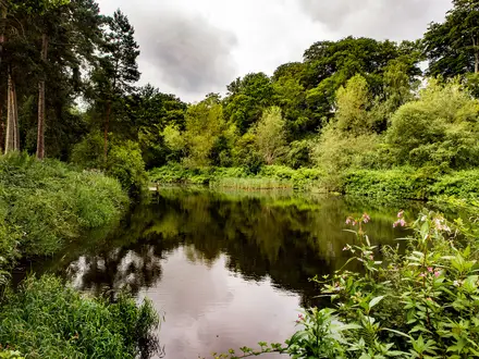 Bollin Valley Way