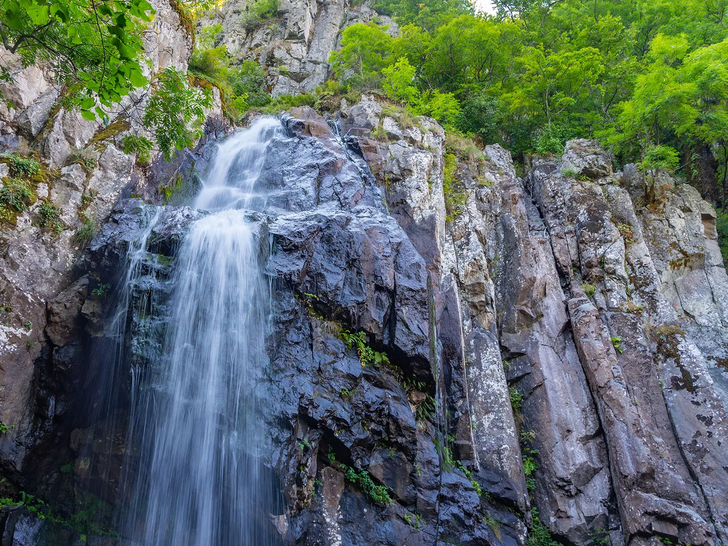 Boyana Waterfall Trail