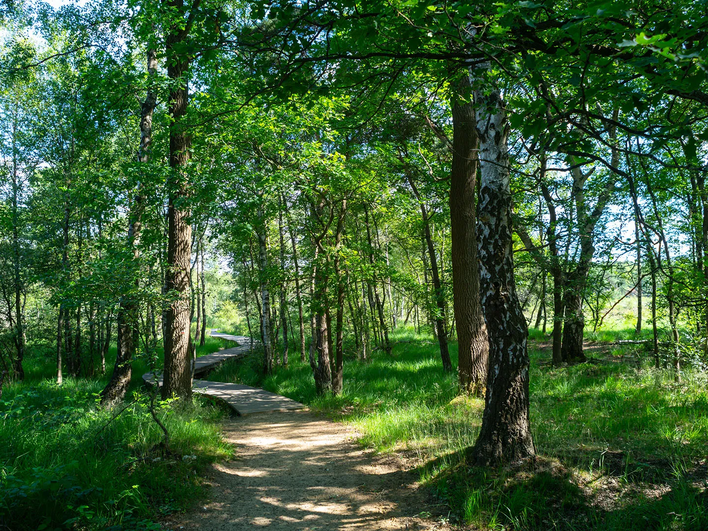 Brabantse Kempen Trail