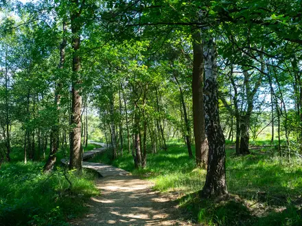 Brabantse Kempen Trail