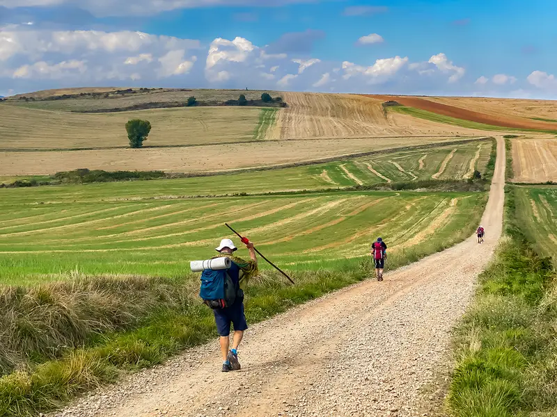 Camino de Santiago (Camino Francés)