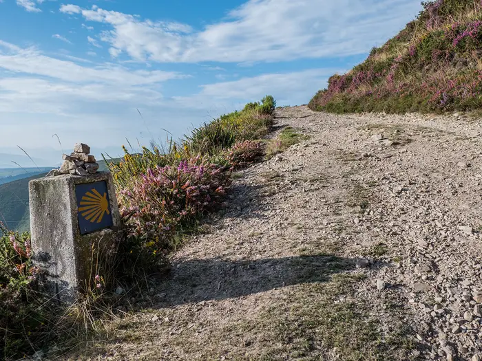 Camino Primitivo (Primitive Way)