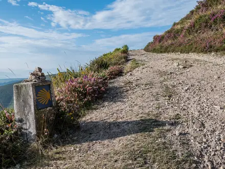 Camino Primitivo (Primitive Way)
