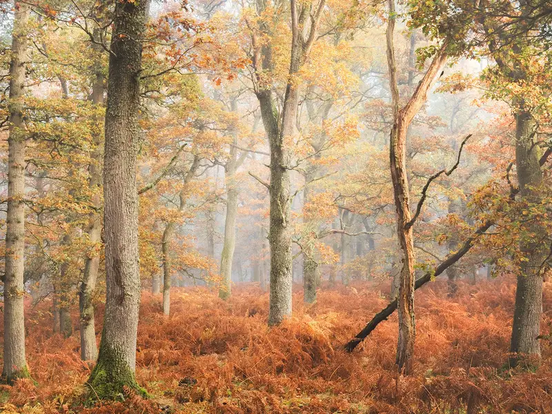 Cateran Trail