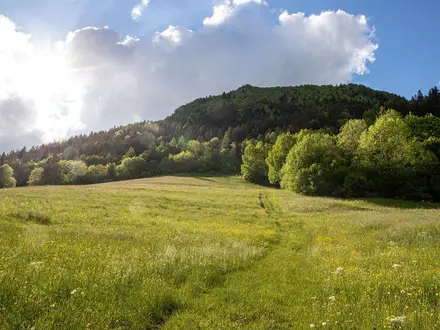 Chartreuse Trail (GR9 Segment)