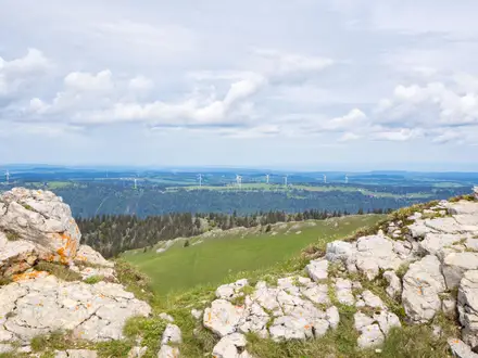 Chasseral Ridge Walk
