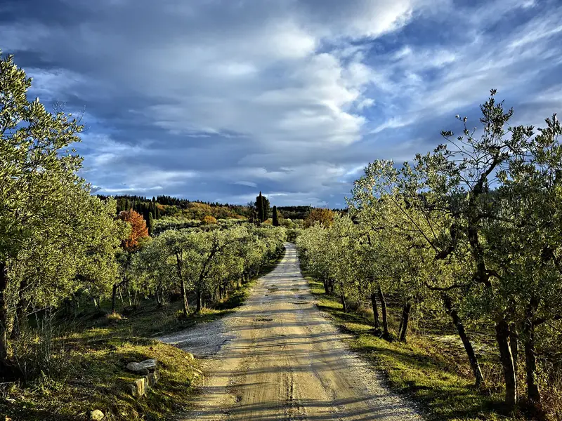 Chianti Trail