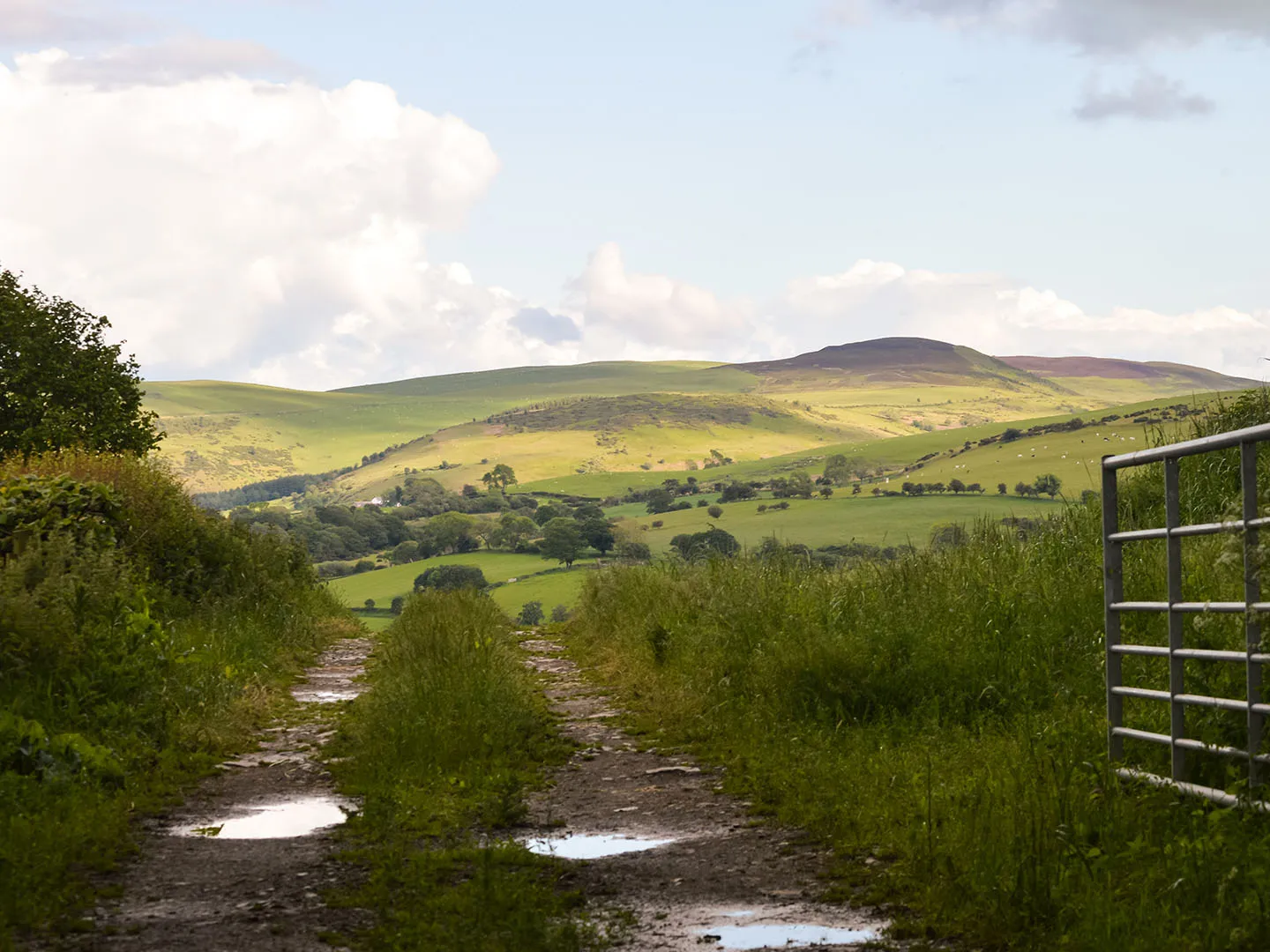 Clwydian Way