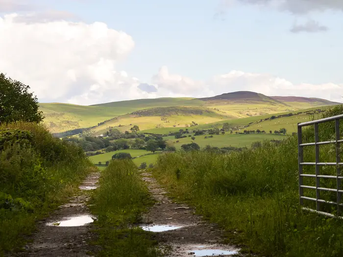 Clwydian Way