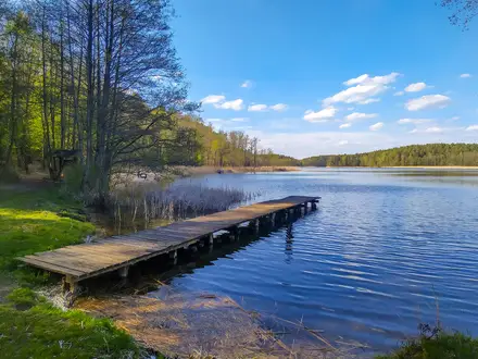 Drawa National Park Trail