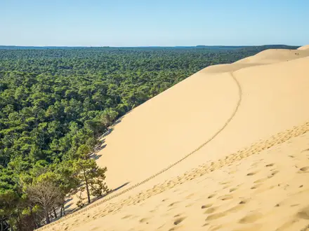 Dune du Pilat Trails
