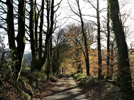 Dyfi Valley Way