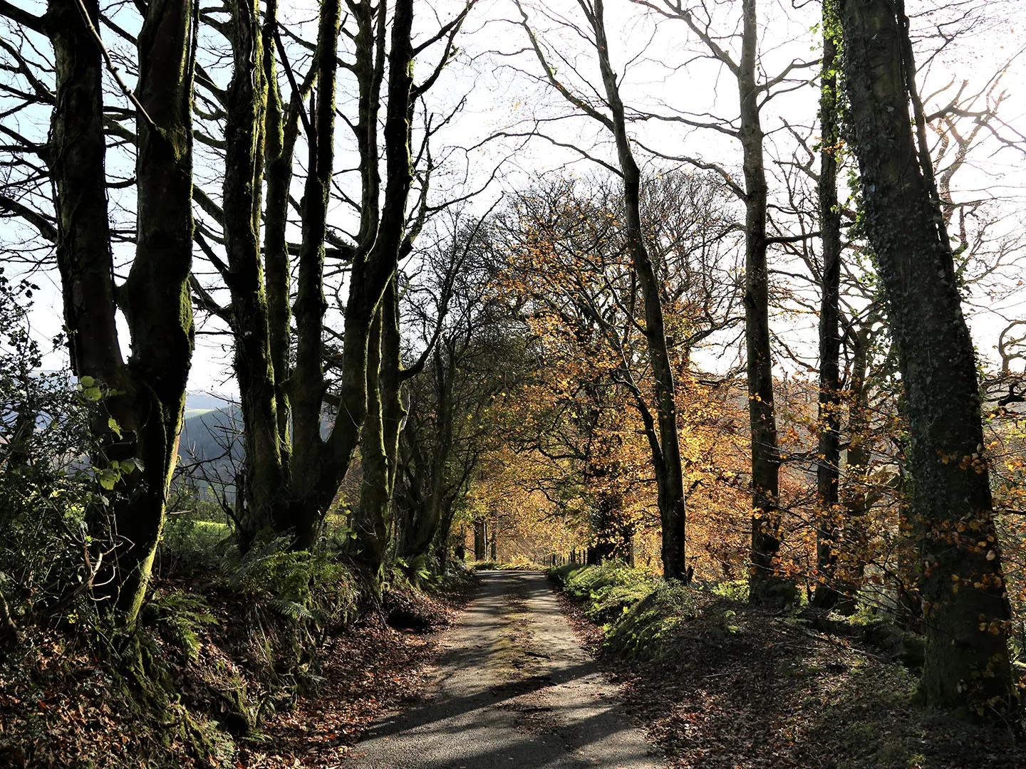 Dyfi Valley Way