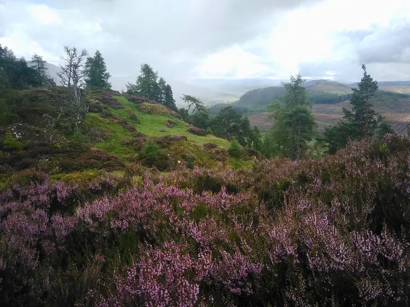 East Highland Way