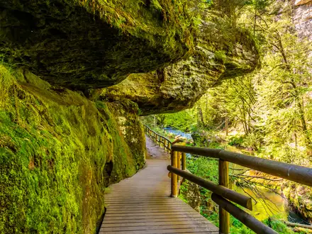 Edmund's Gorge to Hřensko