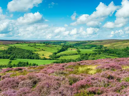 Esk Valley Walk