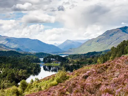 Glen Affric Trail