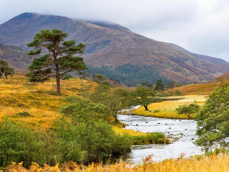 Glen Strathfarrar Circuit