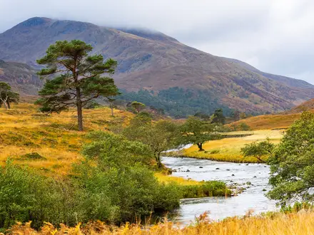 Glen Strathfarrar Circuit
