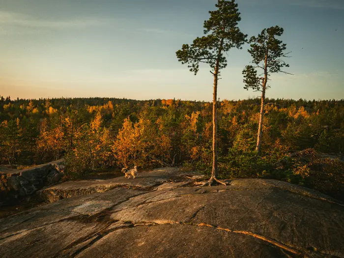 Golden Trail of the Czech Paradise (Zlatá stezka Českého ráje)