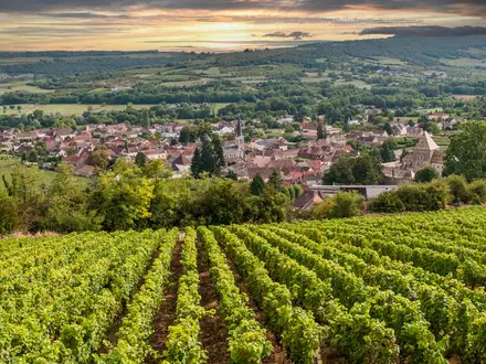 GR213 (Wine Trail of Burgundy)