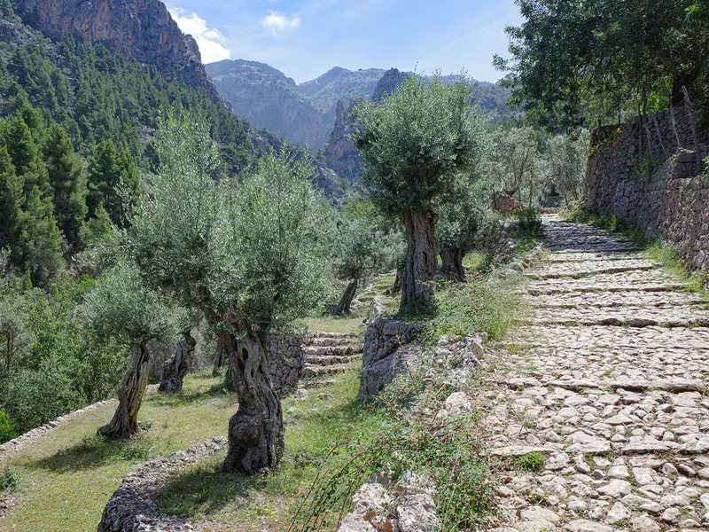GR221 (Dry Stone Route)