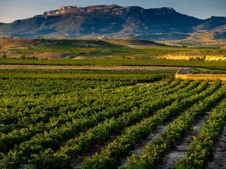 GR38 (Wine and Fish Route)