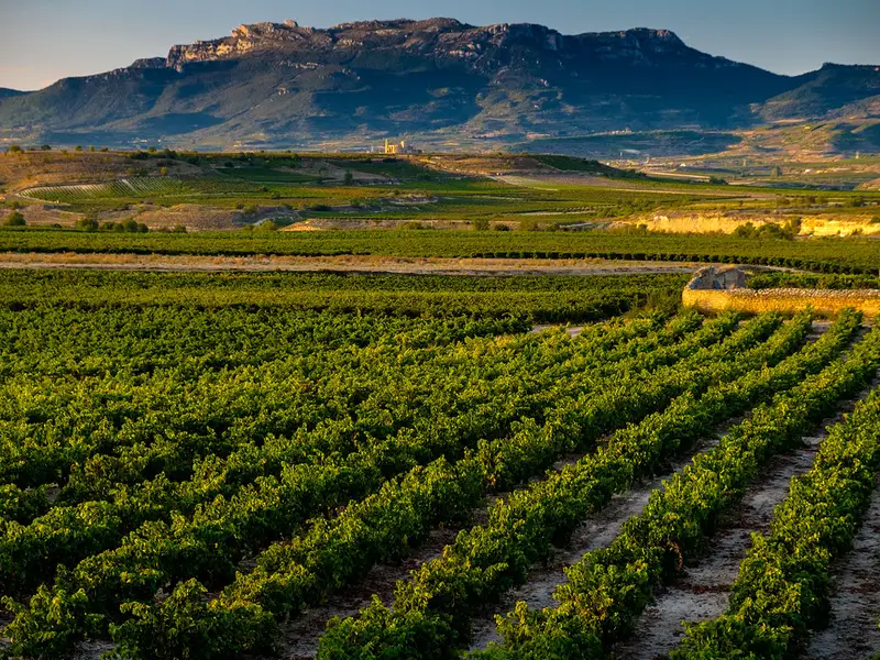 GR38 (Wine and Fish Route)
