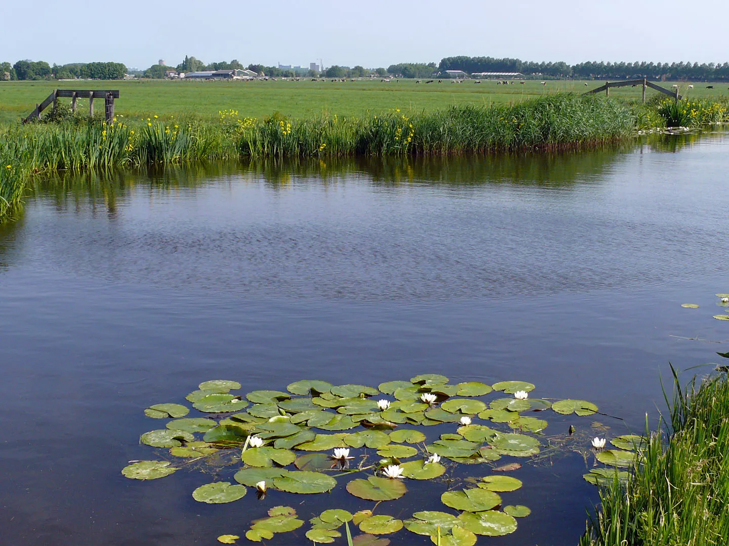 Groene Hart Pad (Green Heart Trail)