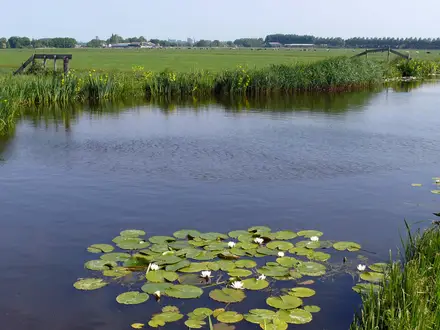 Groene Hart Pad (Green Heart Trail)