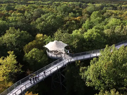 Hainich National Park Trail