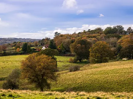 High Weald Landscape Trail