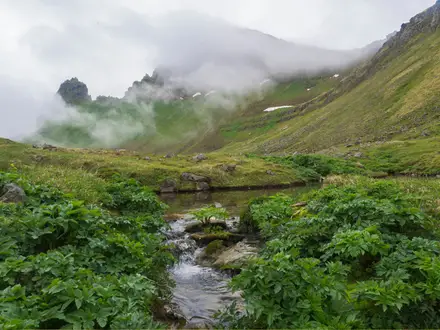Hornstrandir Trek