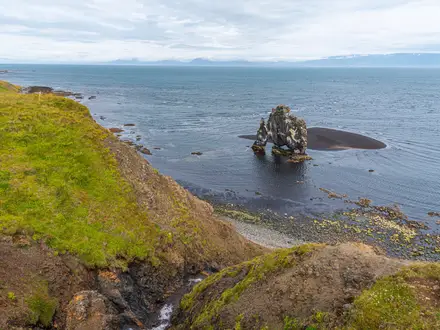 Hvítserkur Rock Hike