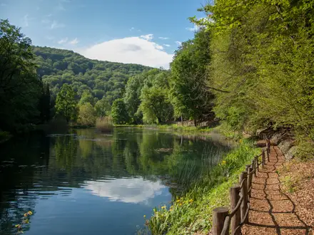 Jankovac Forest Trail