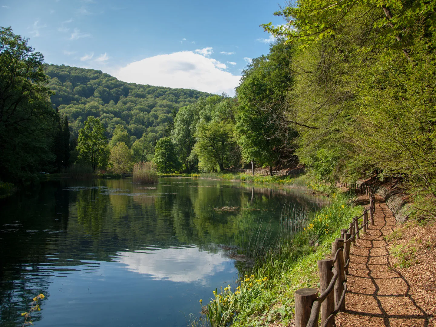 Jankovac Forest Trail