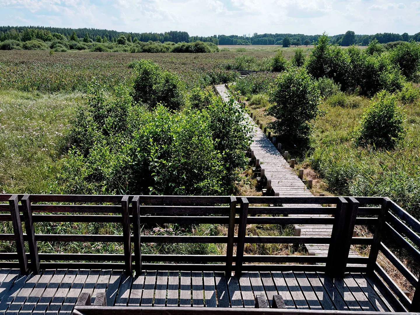Kampinos National Park Trail